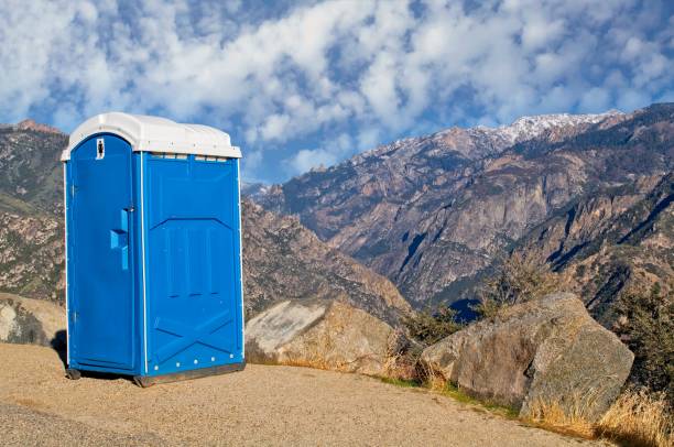 Best Portable bathroom rental  in Brownlee Park, MI