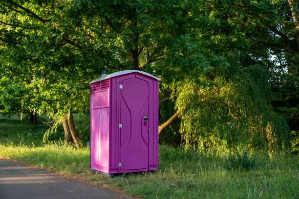 Best Porta potty rental for festivals  in Brownlee Park, MI